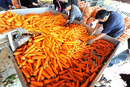 9��13�գ��ӱ������ش�������ܲ������г��Ĺ����ڷּ���ϴ�õĺ��ܲ�