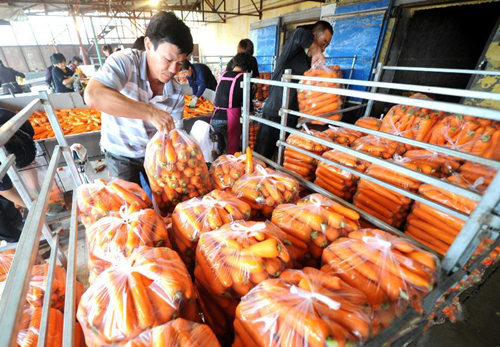 9��13�գ��ӱ������ش�������ܲ������г��Ĺ���׼������ϴ�õĺ��ܲ�װ�����