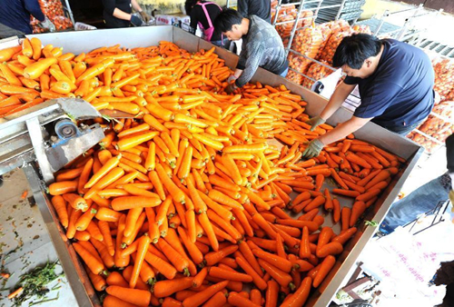 9��13�գ��ӱ������ش�������ܲ������г��Ĺ����ڷּ���ϴ�õĺ��ܲ�