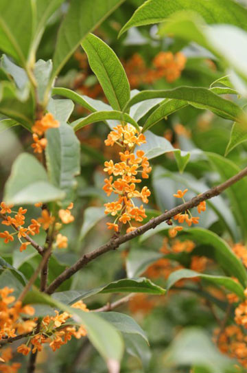 ������ з������ �Ͼ�����һ�����ʱ��