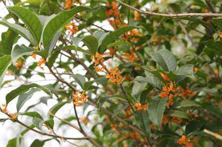 ������ з������ �Ͼ�����һ�����ʱ��