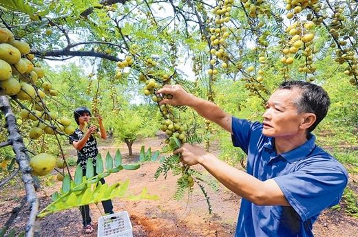 ����ƽ����3��Ķ��ʹ�ϲ�����