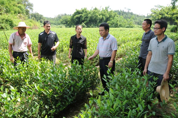 �����ֱ��ز��ҵ�߸߶�·��