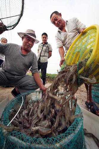 9��15�գ��ڽ�����ͨ�����������泡�������ջ������з����װ��