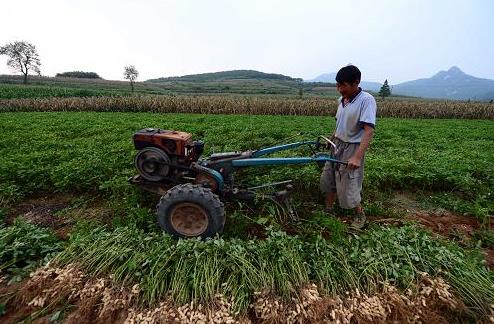 916գɽʡɽзҴ壬ջ