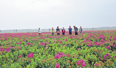 ������������������������Ķ���� ����������