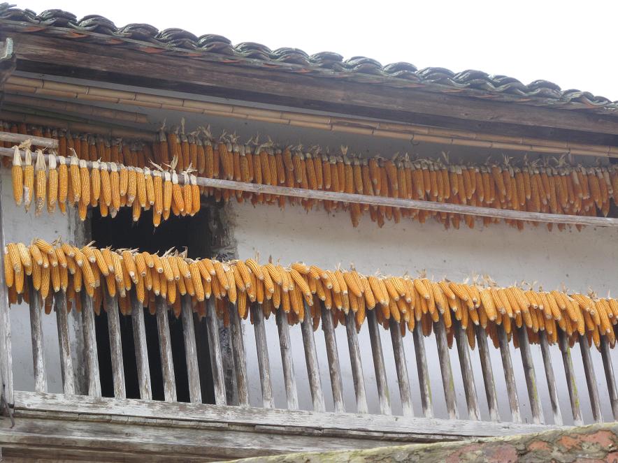 �����ڰ���Ķ����ϲ�����