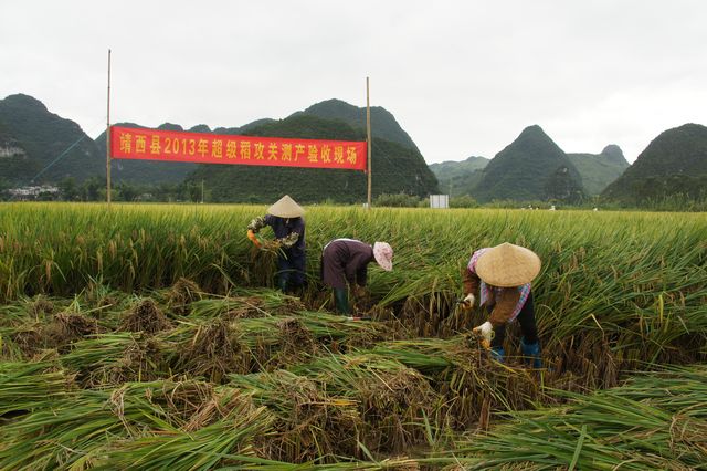 ����������2013�곬�������ز������