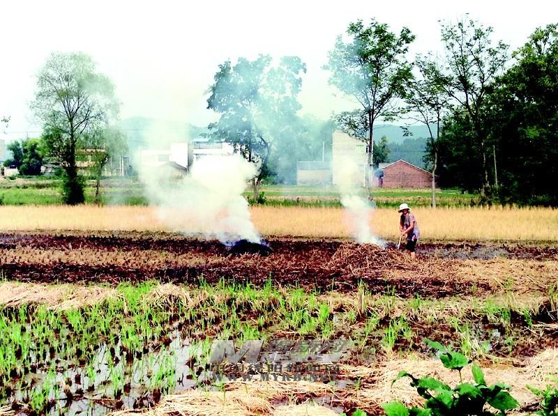 四川安县花荄三台永明因焚烧秸秆被“黄旗警告”