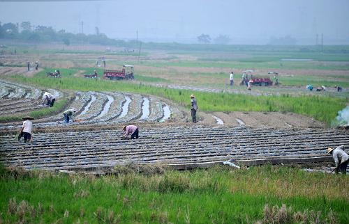 9��17�գ��ڹ�����ɫ�ҽ��ӹ�������ͷ����ͷ���壬������æ������������