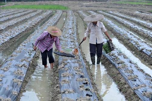 9��17�գ��ڹ�����ɫ�ҽ��ӹ�������ͷ����ͷ���壬������æ������������