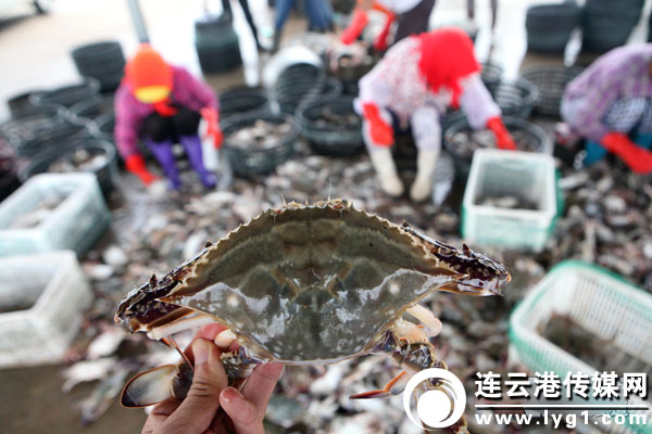 913գƸʯһλŮͷչʾղз