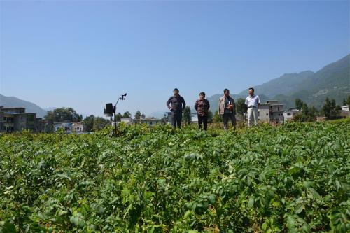 重庆巫溪多措并举全面落实秋播工作