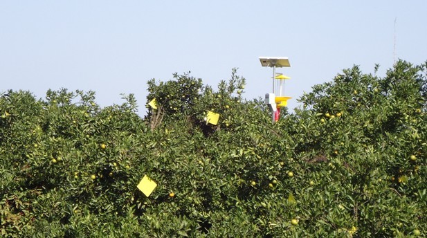 ظ̽۱׼԰ɫ ȷũƷȫ