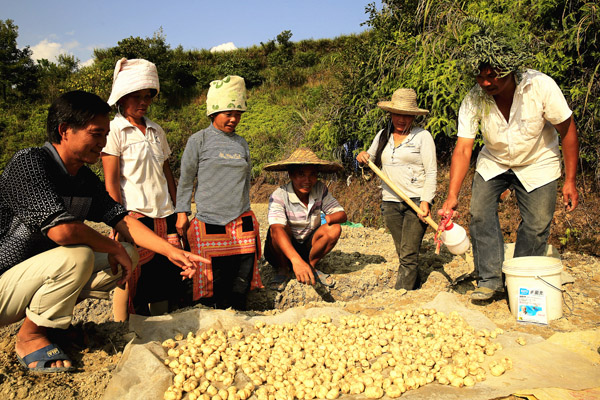 技术员在基地作下种前种子消毒示范