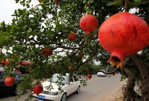 9月20日,车辆在枣庄市峄城区石榴园内游览线路上行驶