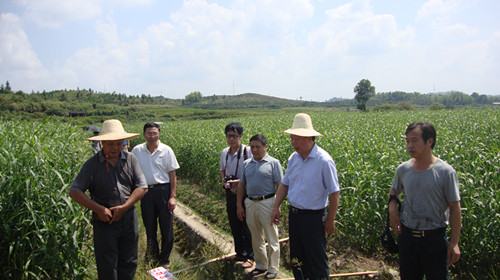 ������������Э����������޲�ײ�ҵ�Ļ�