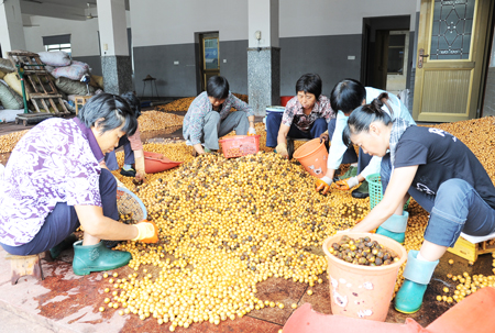 ����������ɽ���Ҽ�������