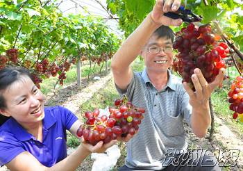 ������������������ũ�񿴵�����ϣ��