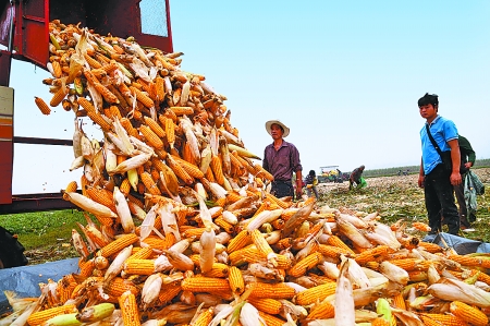 922գˮׯŵũϲס14Ķףͨʱˮڴ֮ԻƽĶ 1100ĺճ