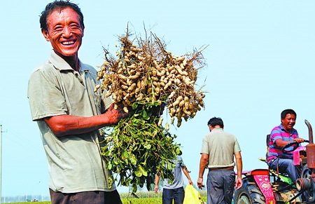 920գȨ˫ţڴողժĻϲԽ꣬Ȩֲ30Ķϲ