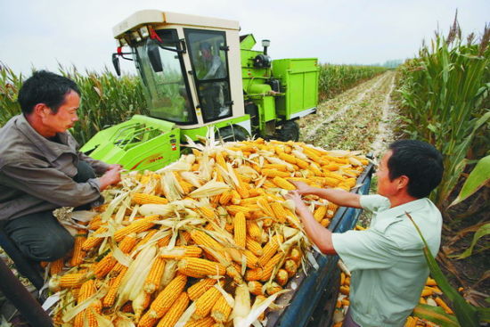 ���������У��������Ұ����ϲ����