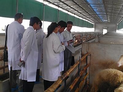 �㽭������ȫ������2013�����ݱ�׼��ʾ�������չ���