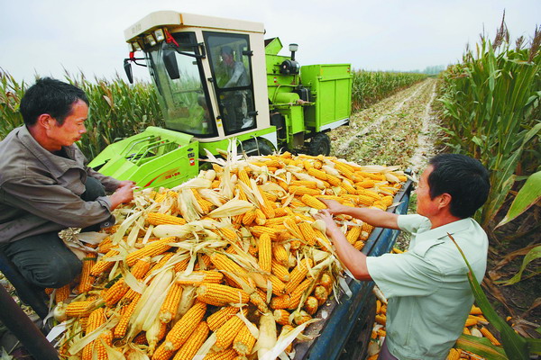 ���գ��������Ұ����ϲ����