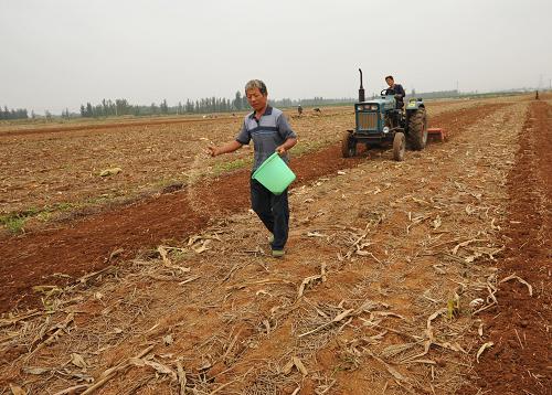 9月23日,山东省枣庄市山亭区官庄村农民在田间施肥、耕翻土地,准备播种冬小麦。