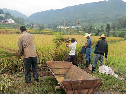 ����������ˮ���߲�����ͨ������