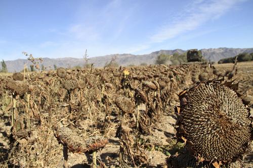 923գ½̩аһ̨ջջʳ