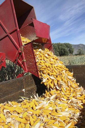 923գ½̩аһ̨ջջ׵ũó