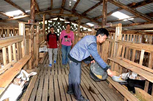 贵州凤冈县:打工学到养羊技 投入资金搞养殖