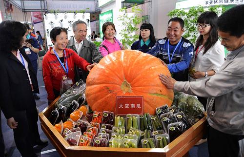 923գڵڰ˽йũҵϣιһ̫͡Ϲϡǰפ