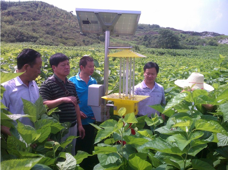 广西来宾综合试验站深入示范县开展桑树绿色防控技术示范