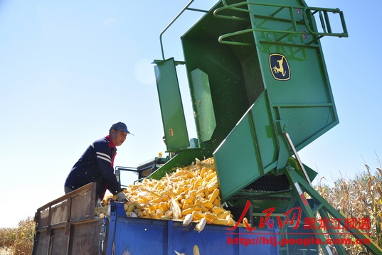 ��������ԭũ���������������ȳ�