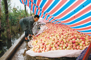 �������������ط��������򹫽�ƻ������ ��ũ�ļ����