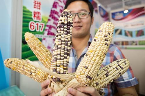 925գչڵ21챱ӴչʾŴ617