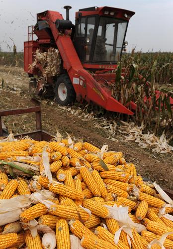 925գһոںʡлذ׵Ӫҵ