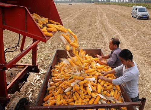 925գںʡлذ׵Сկ壬ͣϣͼڽװ