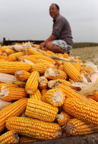 925գںʡлذ׵Сկ壬ڽջװת