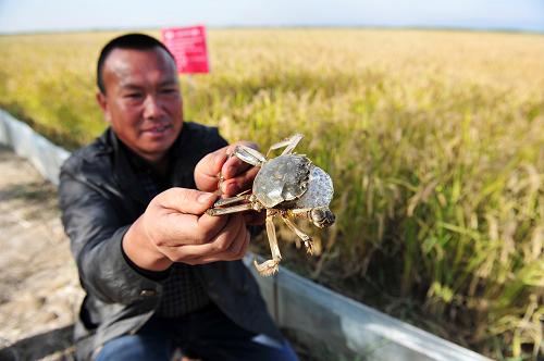 925գĻϰƽлڣһλũչʾﳤɵз