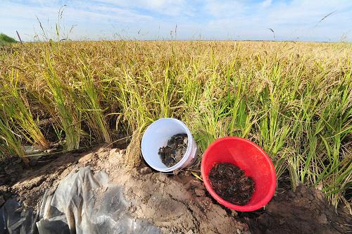 925գĻϰƽлڣͰװڲ̵з