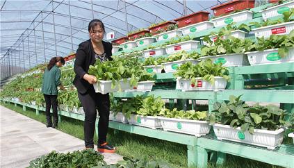 �����������С���̨���á�������ɫ��ҵ