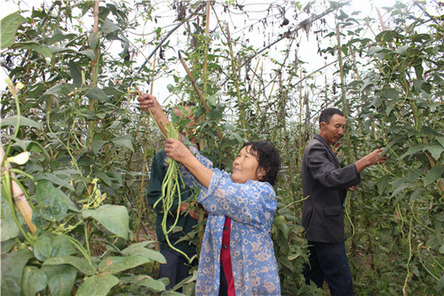 мִũҵʾ԰ Ⱥڿյġ