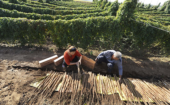 925գɽʡƽسɽũջɽҩװ