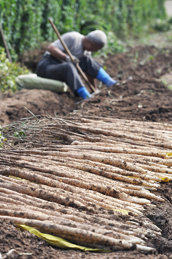 925գɽʡƽسɽũڵɽҩ