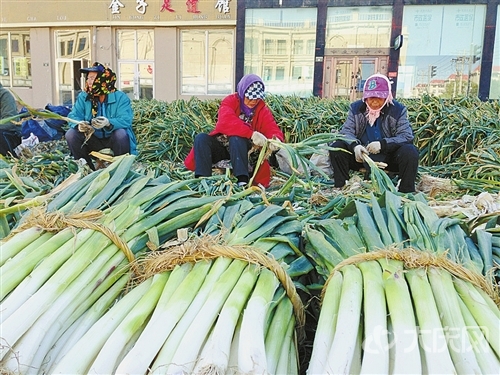 ��������������������������ټ۸�