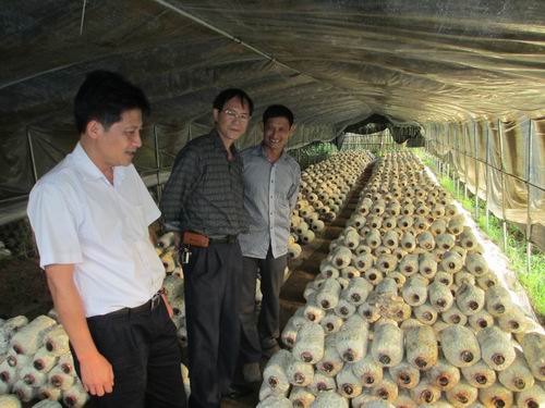 �������Ǹ���ũί�����Ǹ۵���Ӹ�����������ũҵ��ҵ��չ�ٽ�ũ���������