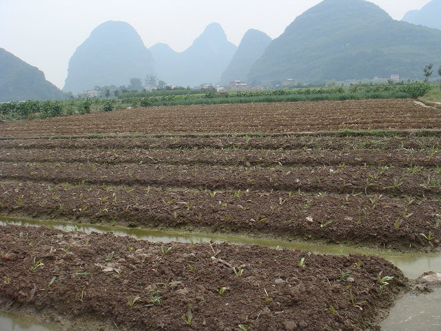 �����ٹ���������ũ����